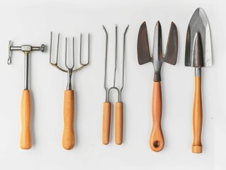 Wall Mural - A collection of five gardening tools with wooden handles, including a cultivator, hand fork, weeder, transplanter, and trowel, ideal for various gardening tasks.