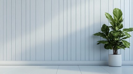 Wall Mural - Minimalist interior with a fiddle leaf fig plant against a light blue wood paneled wall.