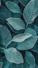 Poster - Delicate leaves adorned with frost capture the shimmering light of dawn. The intricate details of nature highlight the beauty of a chilly morning in a lush garden