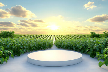 Sticker - White pedestal in a lush green field at sunset.