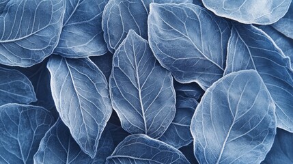 Aufkleber - Frost clings to each intricate leaf, transforming a close-up view into a mesmerizing blue landscape. Winter's chill highlights nature's delicate beauty, showcasing textures and patterns