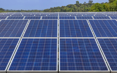 Wall Mural - close up rows array of solar panels or solar cells or photovoltaics in solar power station alternati