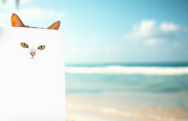 cat peeking from behind a blank white poster, beach background, blue sky, waves, turquoise ocean water