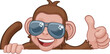 © Christos Georghiou - A monkey cool cartoon character animal wearing sunglasses peeking over a sign and giving a thumbs up