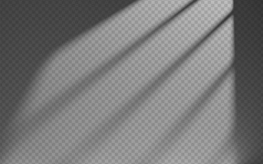 Wall Mural - shadow window overlay on wall isolated transparent background.