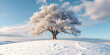 © icemanphotos - Romantic sundown in winter landscape, snow covered fields, sky with gradient of beauty pastel pink and blue, lone tree silhouette. Beautiful winter landscape, picturesque nature scene. Amazing. Ai gen