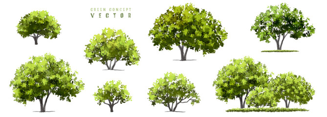 Wall Mural - vector watercolor green tree or forest side view isolated on white background for landscape and arch