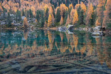 Fototapete - Famous mountain lake Lagh da Saoseo during a tranquil, autumn morning.
