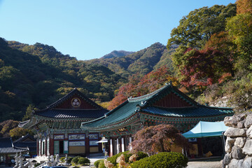 Wall Mural - temples and mountains