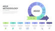 © Whale Design  - Agile lifecycle methodology infographic is a processes to create and respond to change. Life cycle of product development and Agile Methodology. Process diagram template. Workflow Vector illustration.