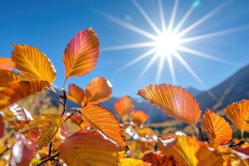 Poster - A sunny day with sunlight filtering through the leaves of a tree