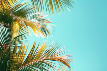 Poster - A palm tree standing tall under a clear blue sky, perfect for outdoor or nature-themed projects
