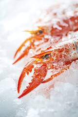 Aufkleber - Fresh seafood, frozen and ready for cooking