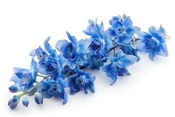 Aufkleber - A bunch of blue flowers on a white surface