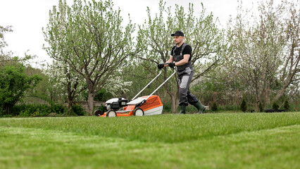 Professional gardener in protective apparel is mowing green grass lawn using modern gasoline cordless lawnmower at backyard. Seasonal landscaping design work. Blooming trees on background