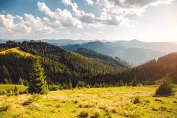 Poster - Fantastic scene of green meadows and forested mountain ranges in sunny weather. Carpathians, Ukraine, Europe.