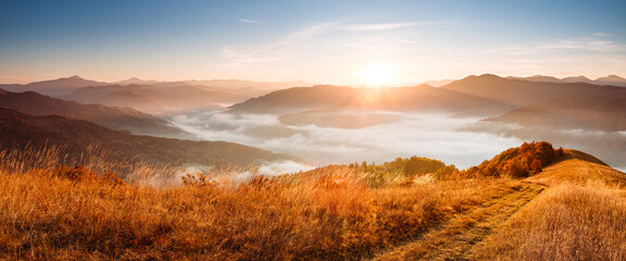 Wall Mural - The bright morning sun shines over the mountains and the valley with fresh fog. Carpathian mountains, Ukraine.