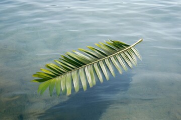 Aufkleber - A vibrant green palm leaf elegantly floats on serene blue waters, capturing the essence of tranquility and the beauty of nature's simple elements.