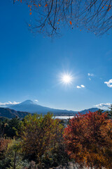 Wall Mural - 富士山と紅葉の河口湖