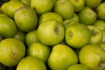 Wall Mural - Delicious green apples on a market counter