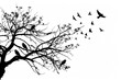 © Yashu Choudhary - A tree with a flock of birds flying around it. The birds are scattered all over the tree and the sky.
