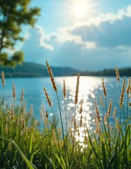 Poster - Tall grass by tranquil lake. Sunny day with sparkling water. Copy space. Summer scene. Lush green meadow and water. Nature background. Peaceful environment. Light and blue tones. Scenic view.