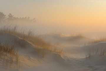 Wall Mural - Sunset fog envelops sandy dunes in serene coastal landscape