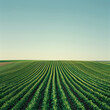 © Aqsapics - Fresh green agriculture field