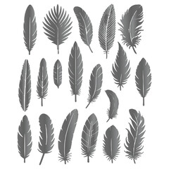 Naklejka na meble Create a shilhoutte feather vector design with white background