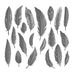 Naklejka na meble Create a shilhoutte feather vector design with white background