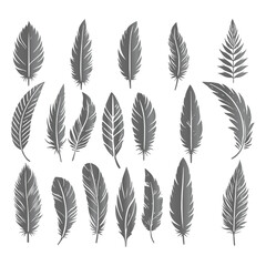 Naklejka na meble Create a shilhoutte feather vector design with white background