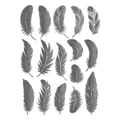 Naklejka na meble Create a shilhoutte feather vector design with white background