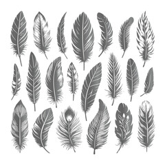 Naklejka na meble Create a shilhoutte feather vector design with white background