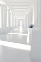 Wall Mural - Bright, empty hallway with columns and a plant, minimal architecture., white interior background.