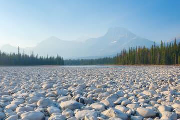Wall Mural - mountain landscape at the morning. river coast with stones and forest in a mountain valley. natural 