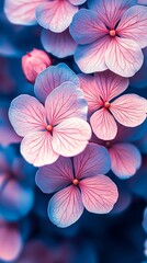 Wall Mural - A bunch of pink and blue flowers on a blue background