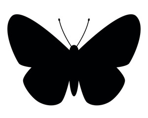 Wall Mural - butterfly silhouette shape, black and white vector illustration of butterfly with spread wings, isolated on white