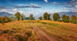 © Andrew Mayovskyy - Colorful autumn scene of scene of Krasna mountain range, Transcarpathian, Ukraine. Stunning morning view of Carpathian mountains with country road. Beauty of nature concept background.