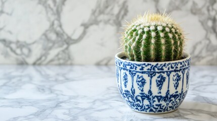 Wall Mural - Cactus in Decorative Pot on Marble Surface with Elegance