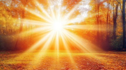Wall Mural - autumn sunbeams through colorful forest foliage.