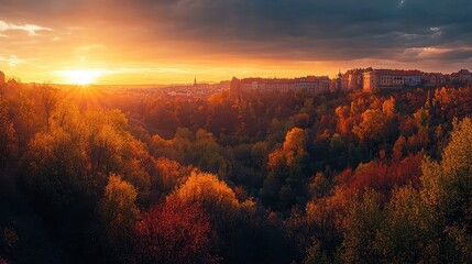 Wall Mural - autumn sunset over city park.