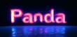© Mehram - Glowing neon silhouette of the word Panda in a minimalist style.
