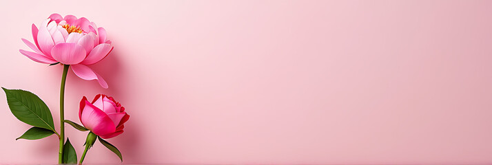 Aufkleber - Pastel pink background features spring flowers including a pink peony and roses with sprinkles, set against a large open space._00001_