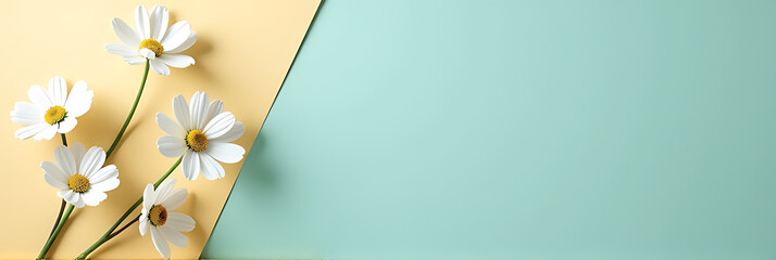 Aufkleber - A serene image of a white gypsophila flower arrangement set against a beige and turquoise background with a circular shape and empty space._00001_