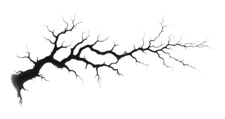 Intricate black barren tree branch on transparent background