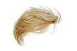 © AnyaWhy - Blond human male hair wig isolated on a png transparent background.