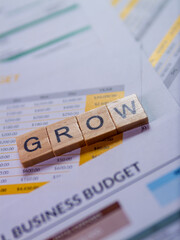 Poster - Business growth strategies financial planning overview office environment budget insights