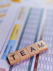 Poster - Professional team collaboration in business analysis for strategic planning