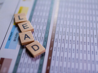 Poster - Business data analysis understanding leads through spreadsheets in a professional office environment