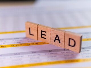 Poster - Business growth strategies lead generation techniques for success in a competitive market